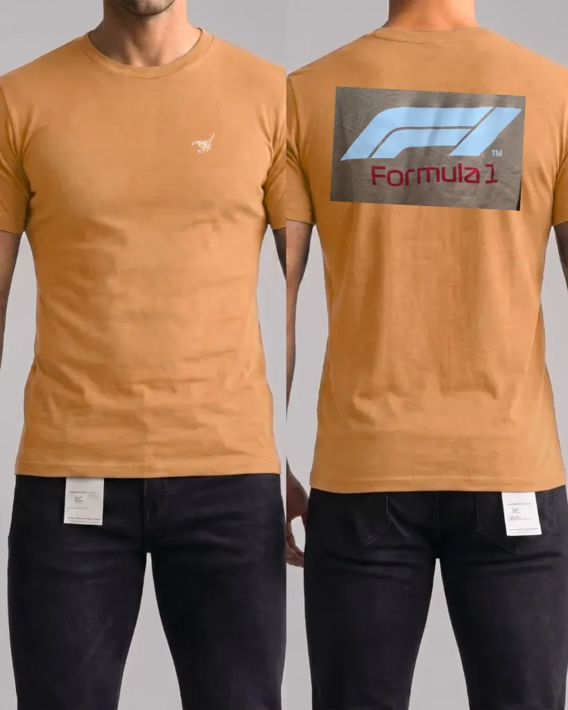 Camiseta estampada (Formula 1)